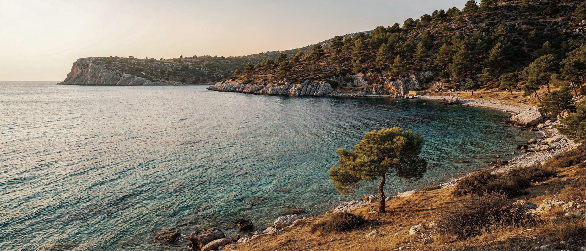 A bay on the Turquoise Coast, pine-covered slopes falling to clear water