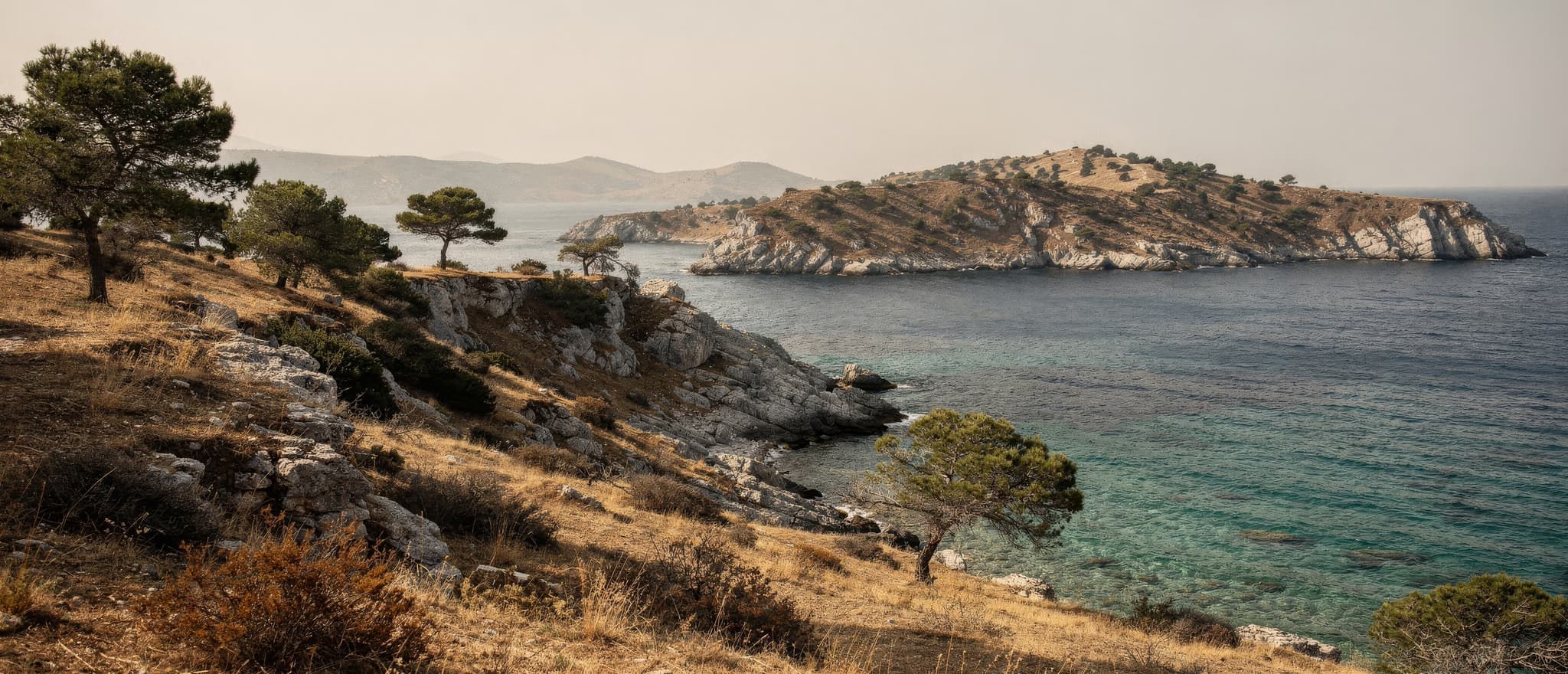 The Turquoise Coast - pine slopes meeting the sea