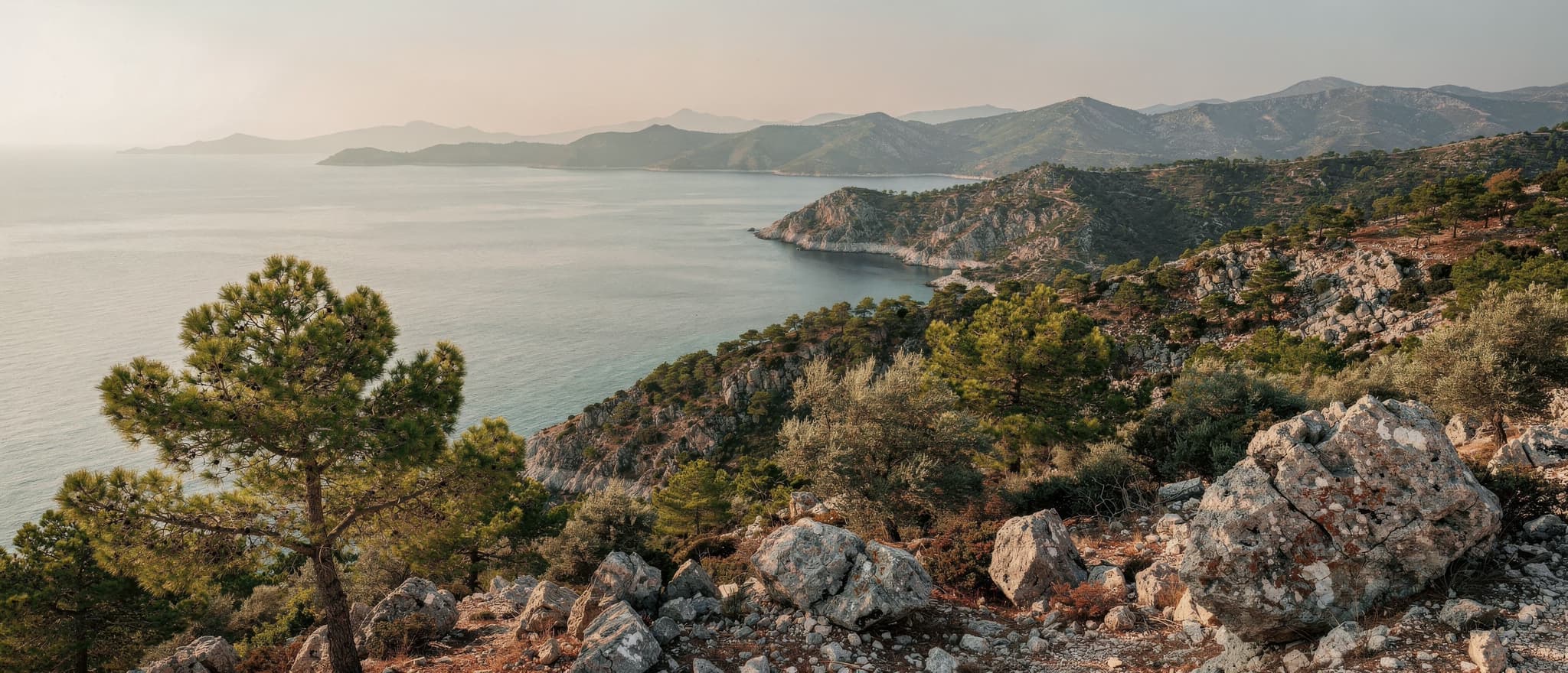 Limestone cliffs and pine forest meeting the water along the Turquoise Coast